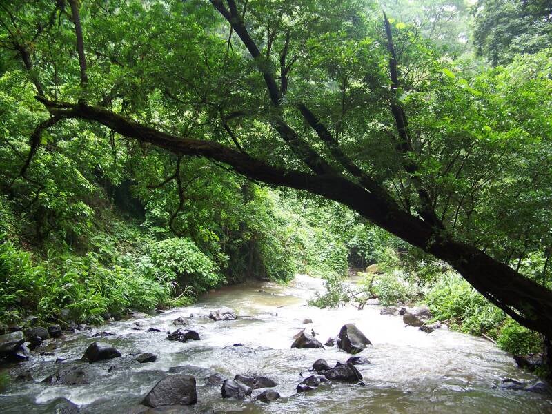 Los Chorros Waterfall Grecia Costa Rica