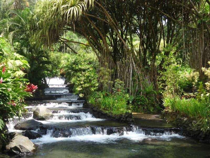 Tabacon Hotsprings Costa Rica
