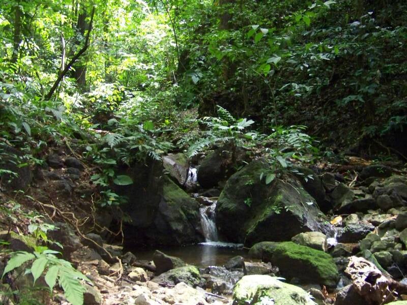 Puerto Jimenez Carate Costa Rica