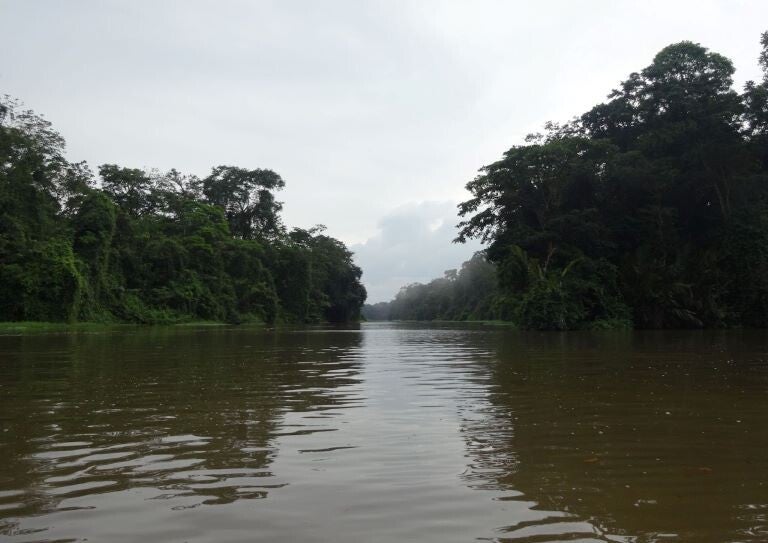 Tortuguero in Costa Rica