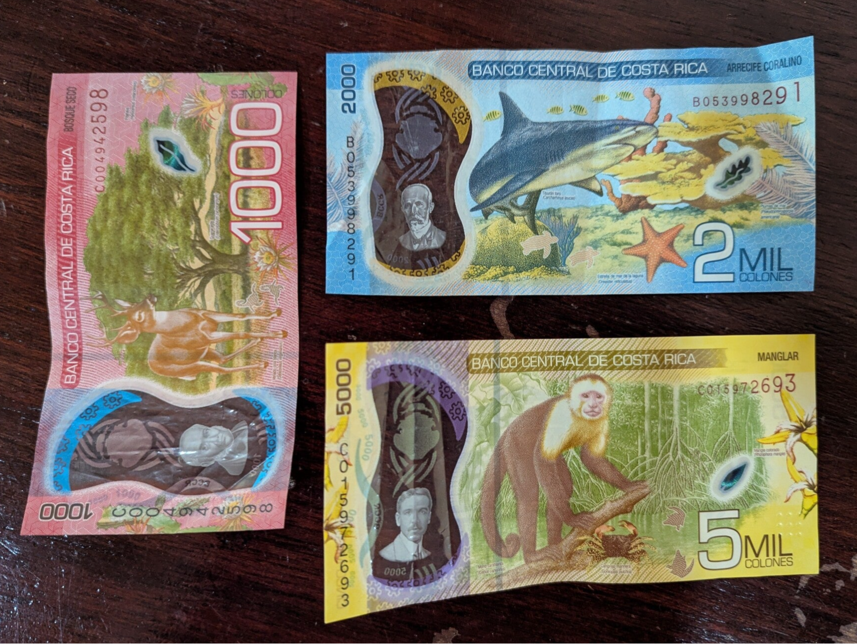 Small Bills Costa Rica