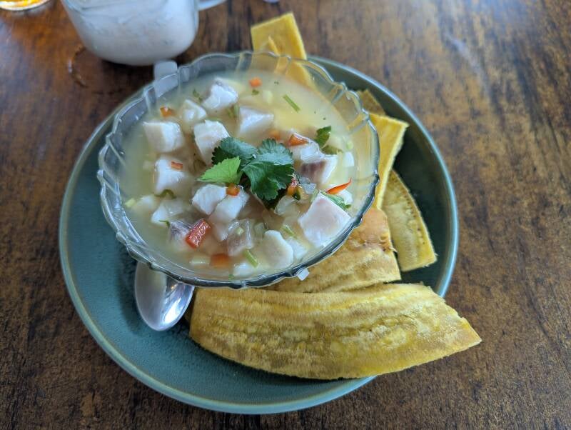 Typical Food Ceviche Costa Rica