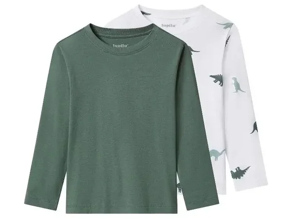 Lot de 2 t-shirts à manches longues petit garçon