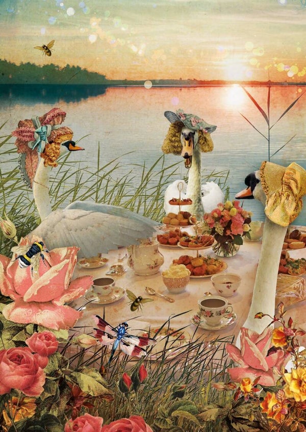 Ansichtkaart Zwanen High Tea – Kaartje of Kip
