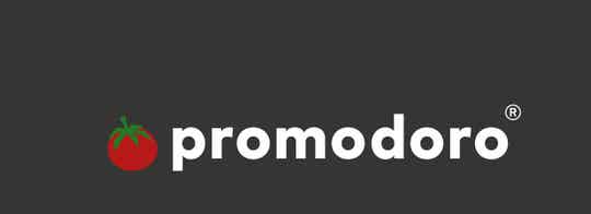 Z-PM4005F Superior Women Polo Promodoro 220 g/m²