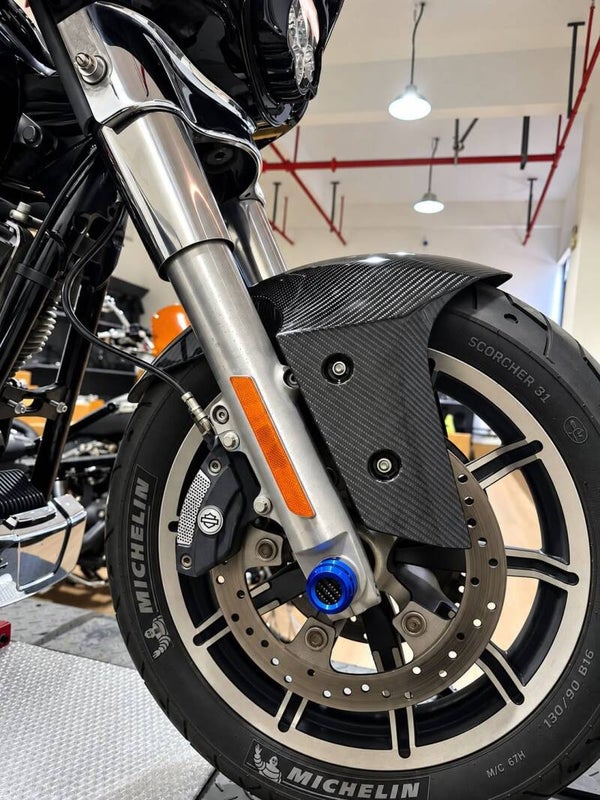 Front fender race carbon