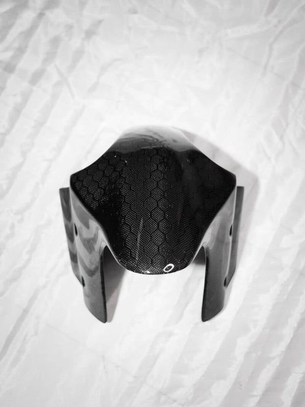 Front fender race carbon