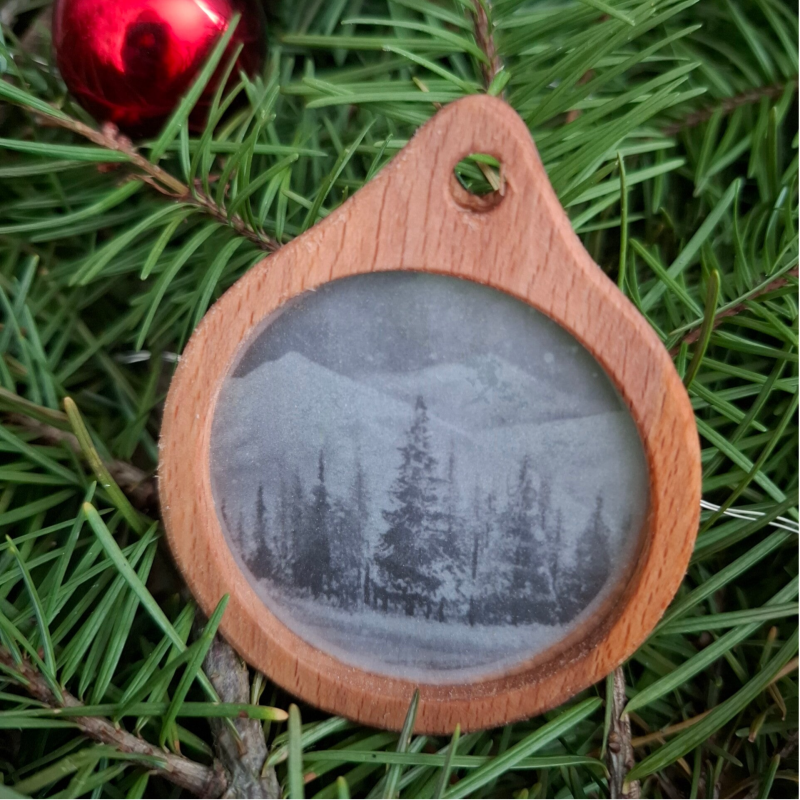 Décoration de Noël - Forêt de sapin en montagne
