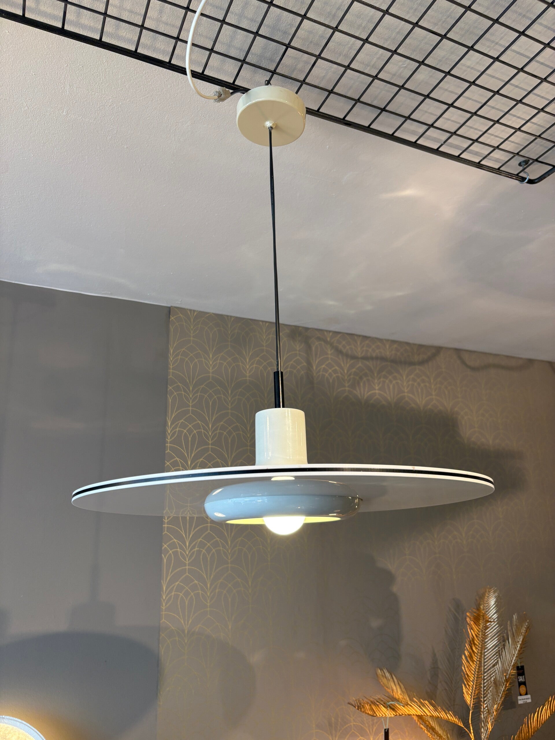 ZELDZAME RAAK HANGLAMP