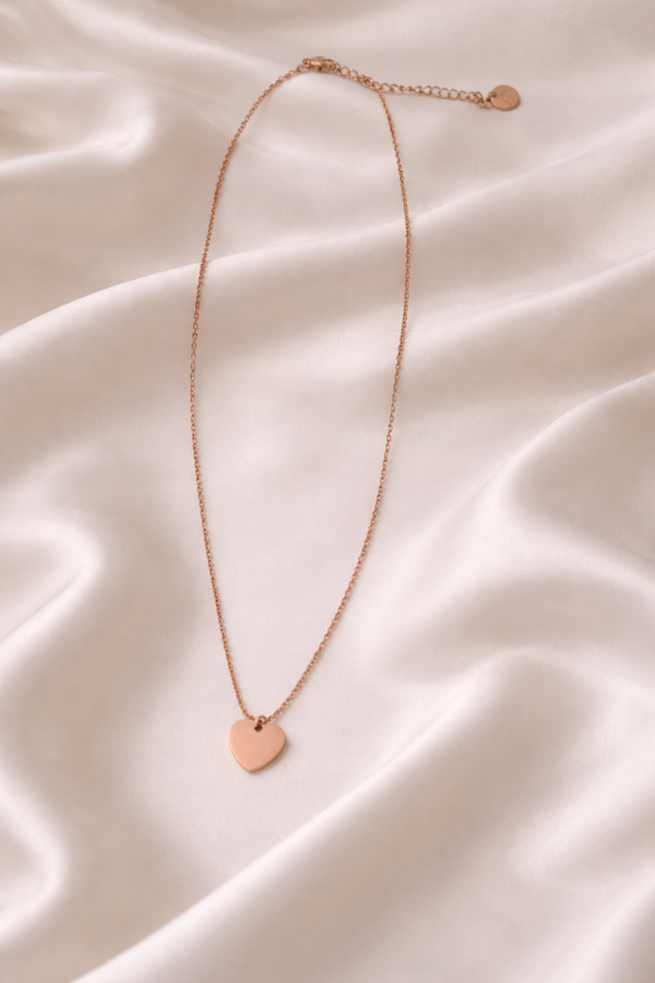 collier acier inoxydable Ref : AC 11