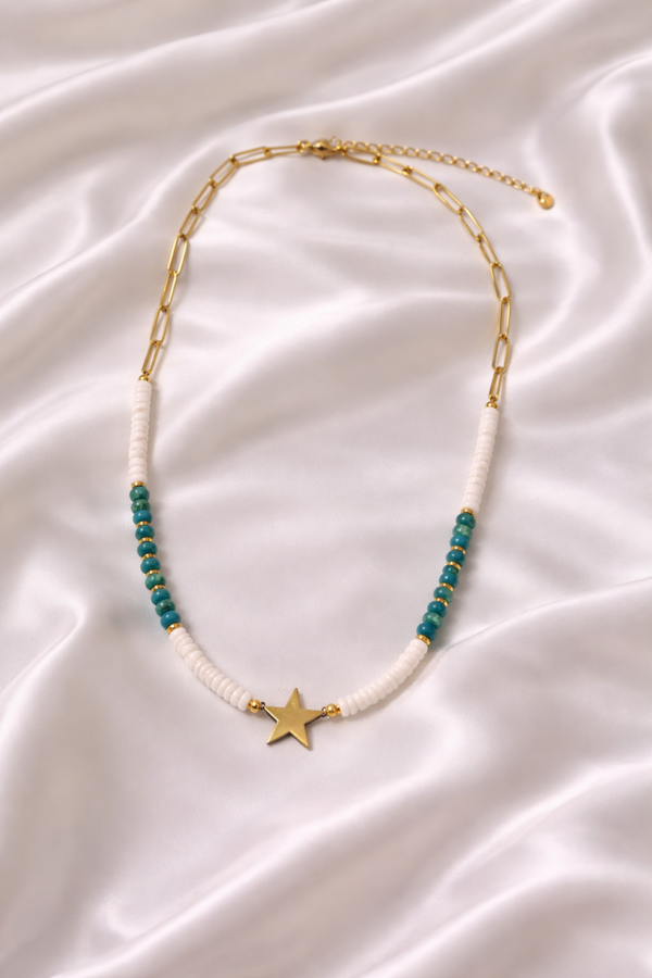 Collier Acier inoxydable réglable