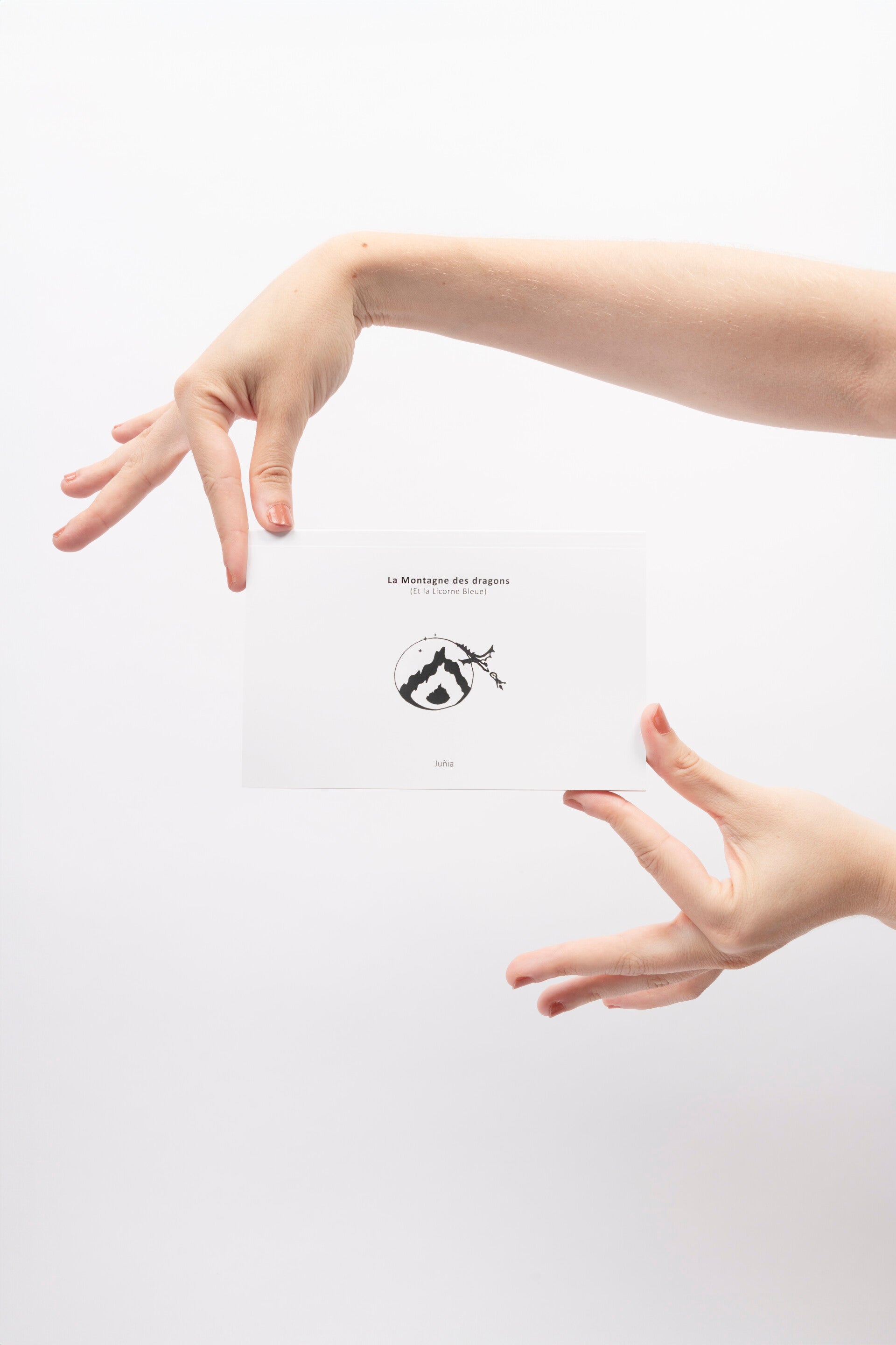 La Montagne des dragons - Livre