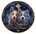 Les Pomsky du Cercle Polaire