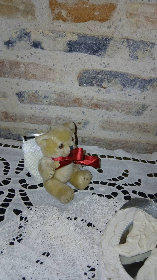Nounours à quenottes