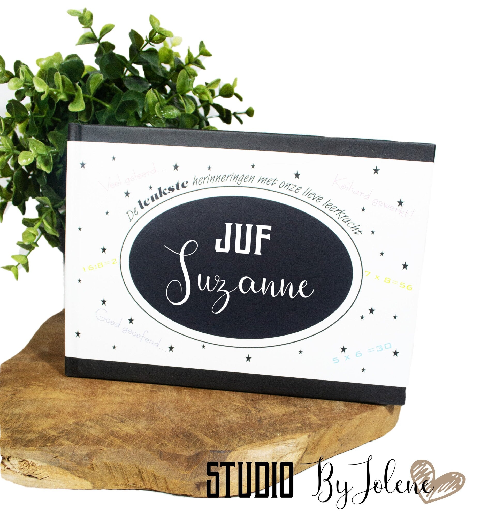 JUF - MEESTER INVULBOEK BLANCO 2 STUKS