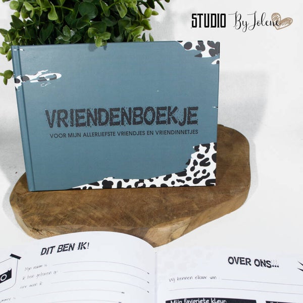 VRIENDENBOEK LEOPARD GROEN BLANCO 2 STUKS
