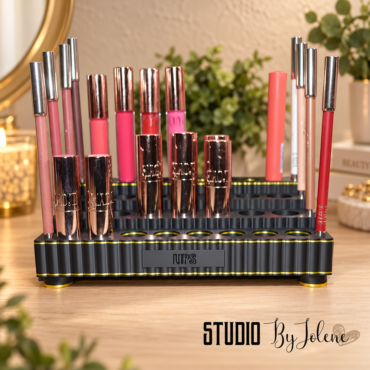 make-up organizer || Perfect lips maxi