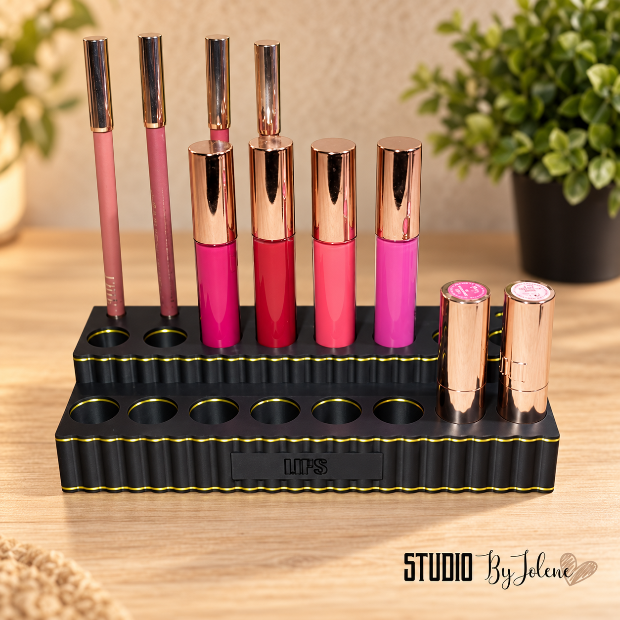 Make-up organizer || Perfect lips sets