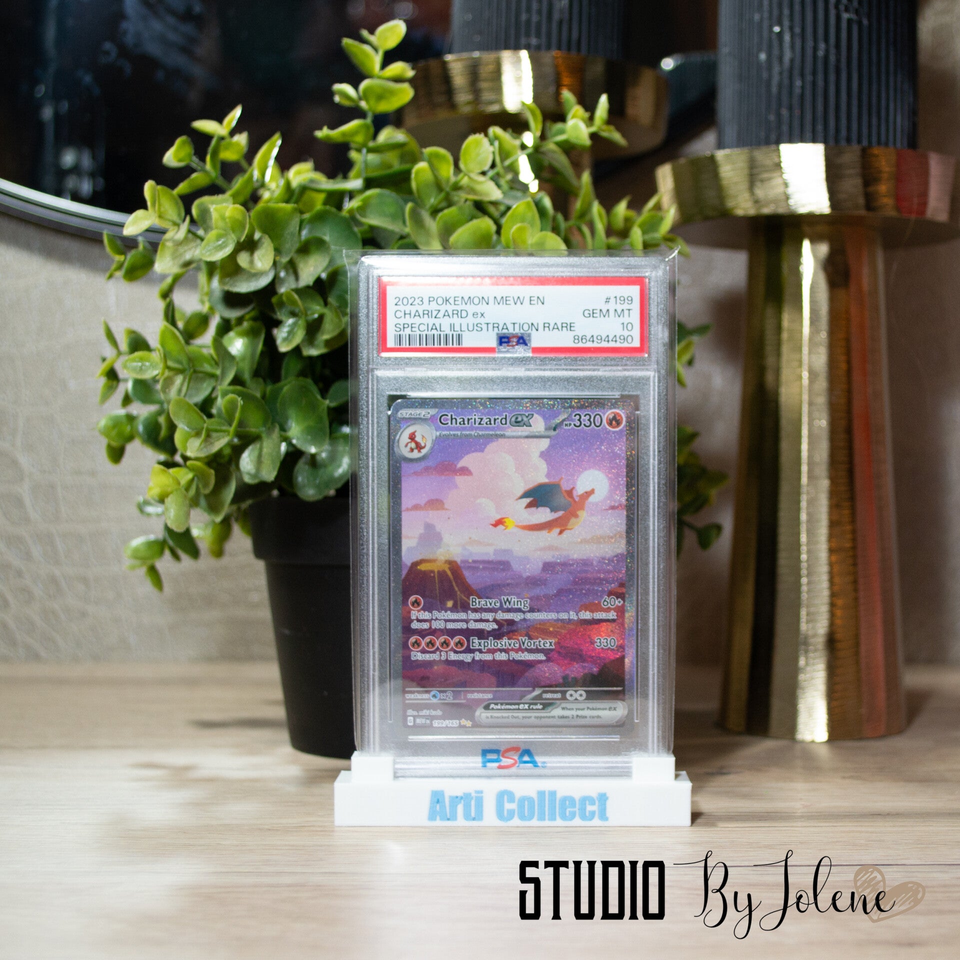 PSA slab Holder