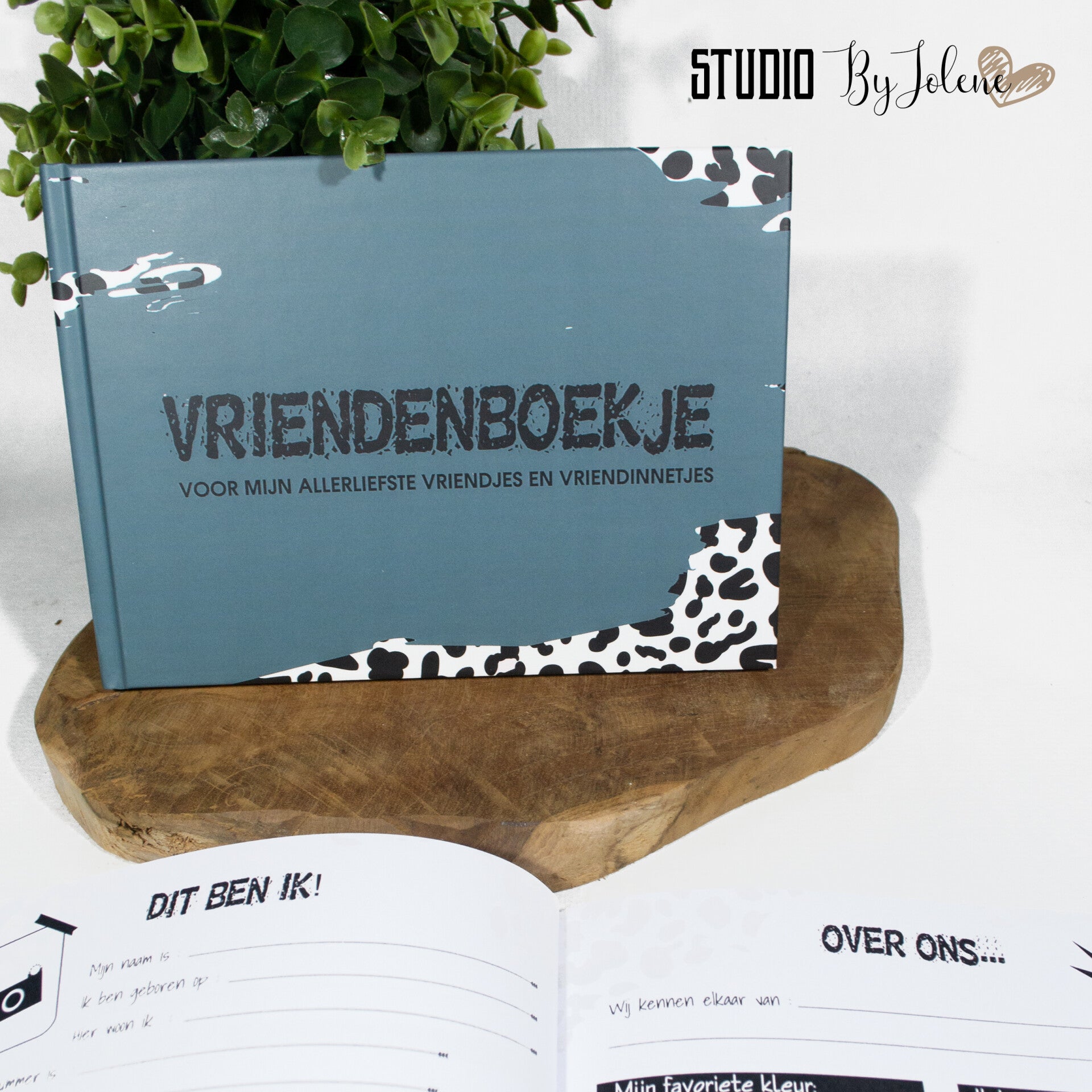 VRIENDENBOEK LEOPARD GROEN BLANCO 2 STUKS