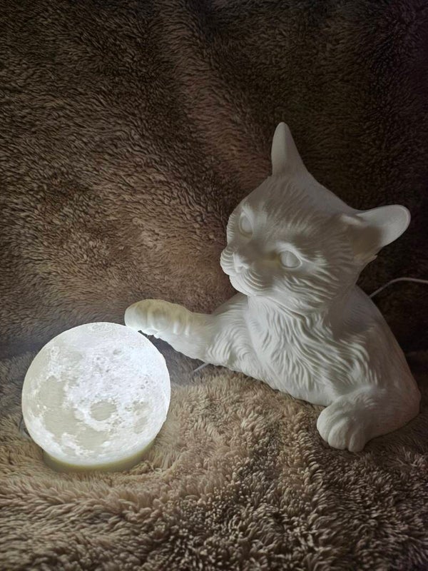 Katze mit LED Mond