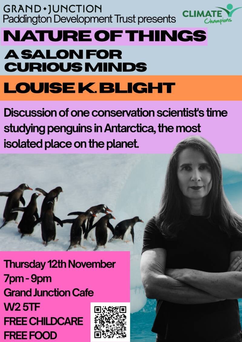 12/11/26 Link: penguins