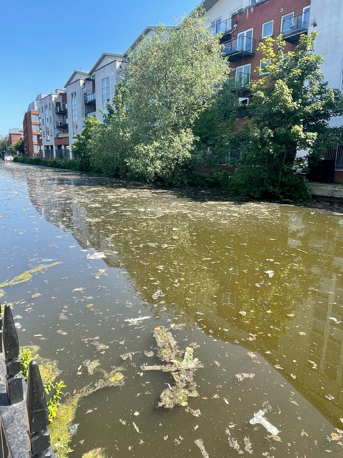 Concerns Raised Over Quality of Canal Water [assessment:critical ...