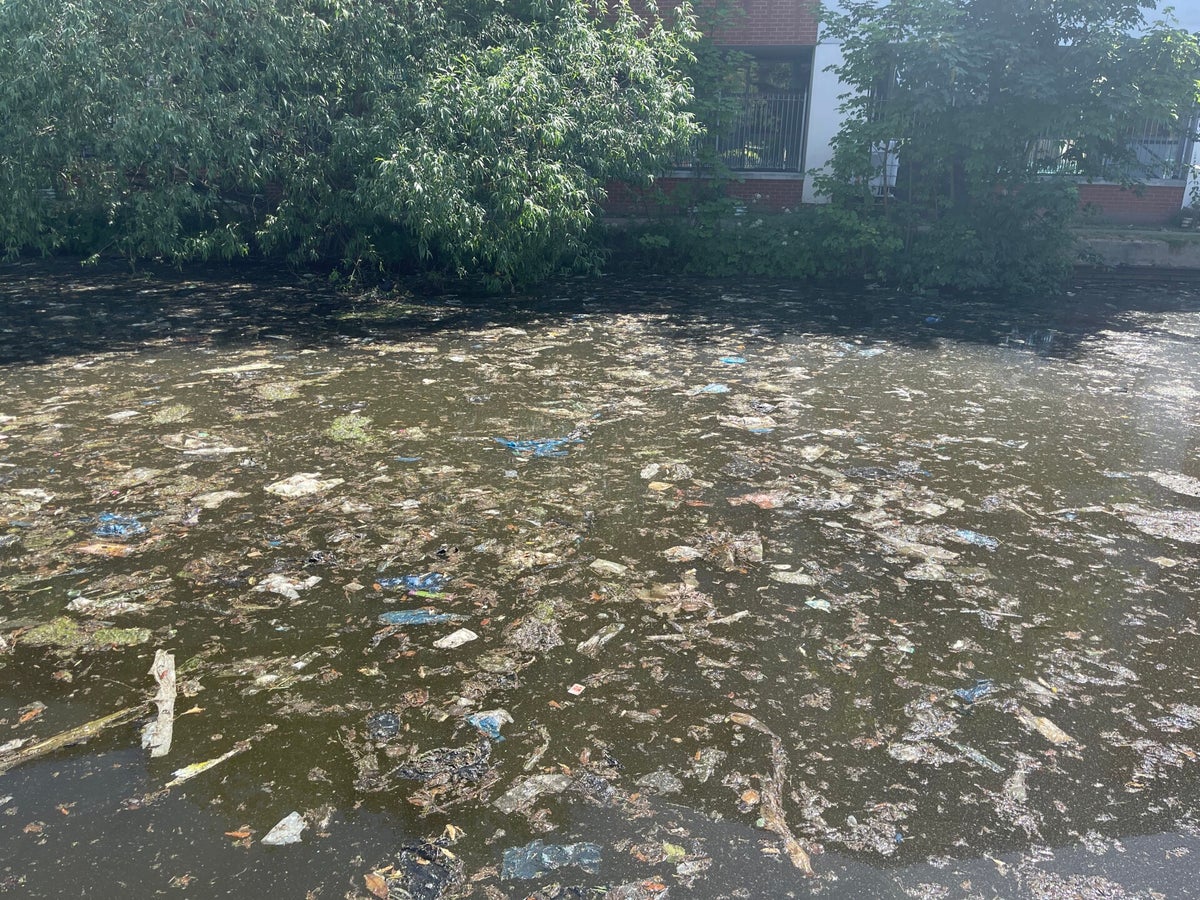 Concerns Raised Over Quality of Canal Water [assessment:critical ...