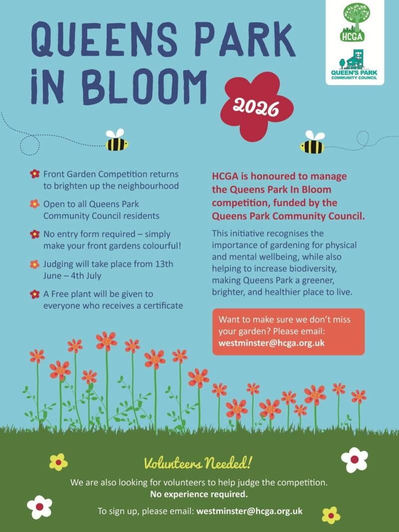 in-bloom-standard.jpg