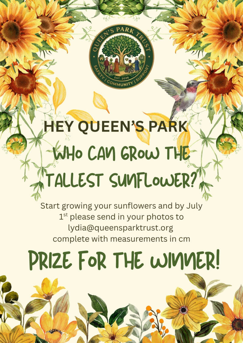 sunflower-contest-standard-wftorb.jpg