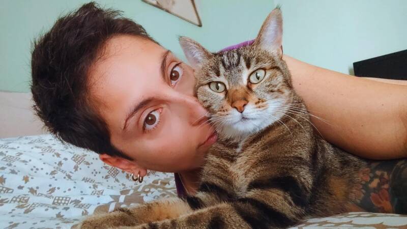 Per svolgere il lavoro di cat sitting serve amare profondamente i gatti