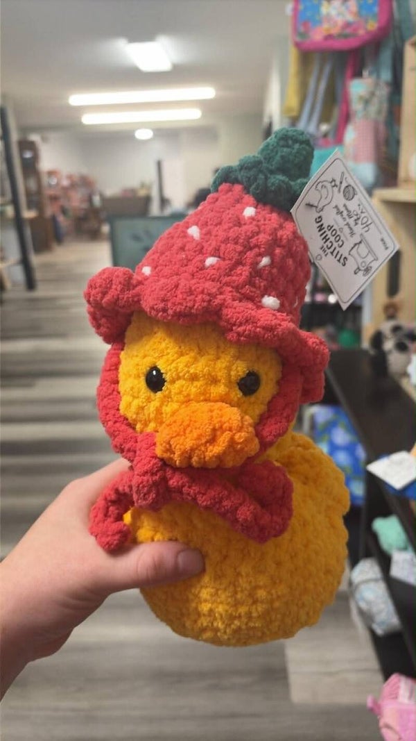 ducks in hats