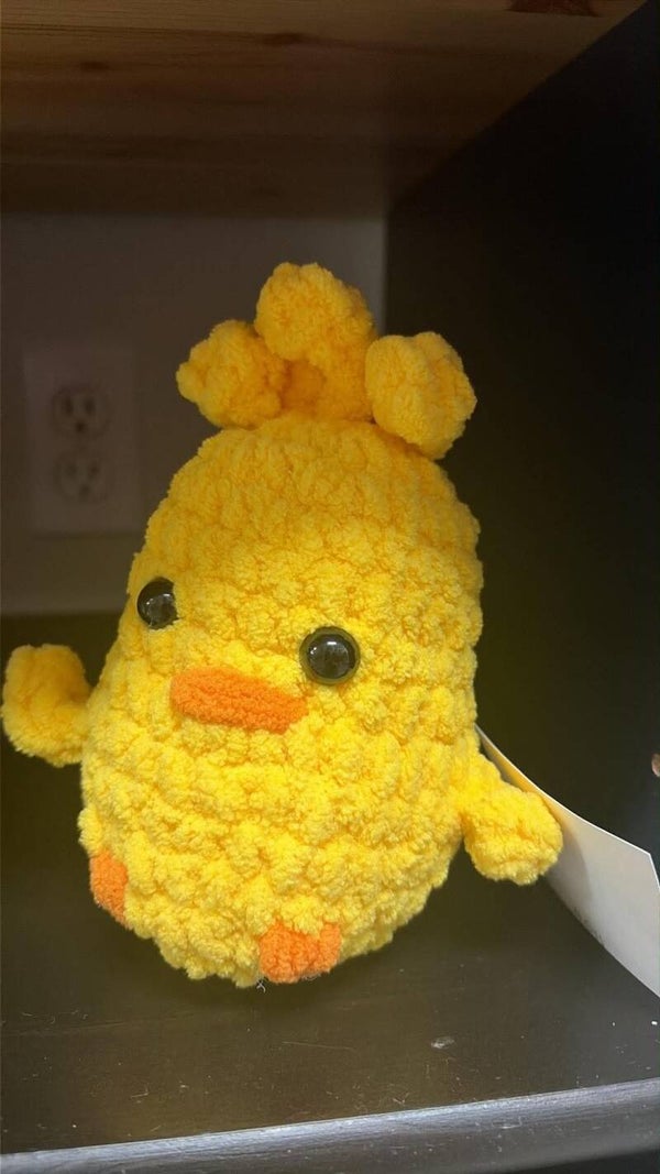 duck