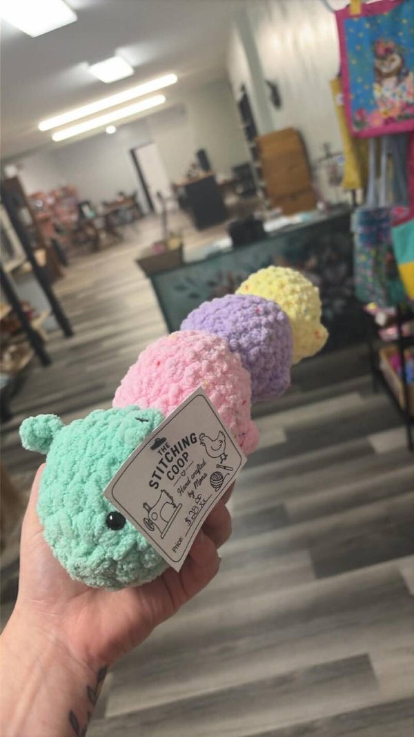 rainbow cattipilar
