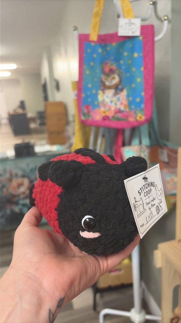 lady bug