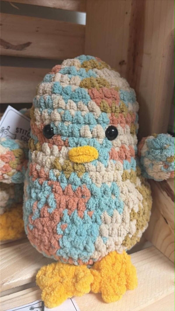 colourful duck