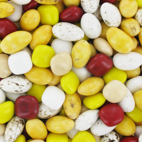 Dragées panache (100g)