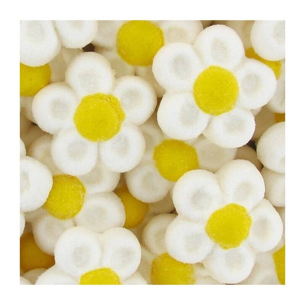 Fleurs guimauve (X5)
