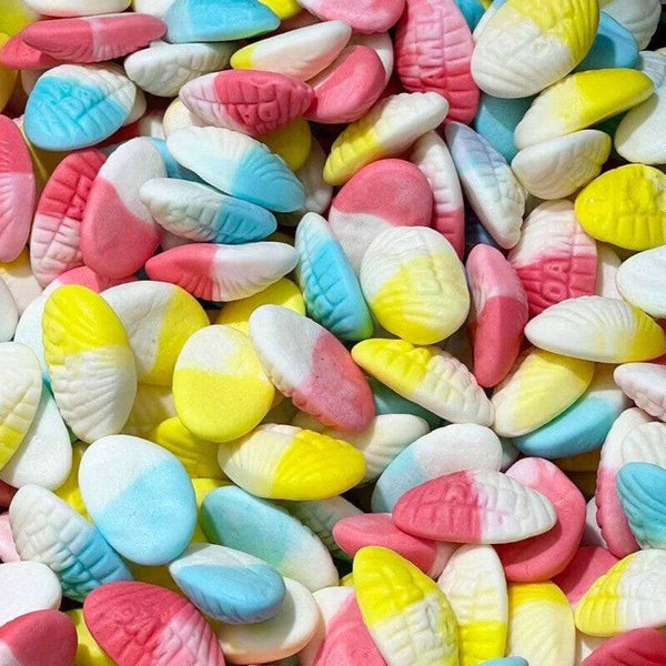 Palourde  (100g)