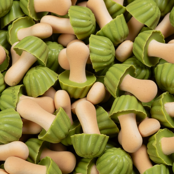 Champignons 🍄‍🟫 (100g)