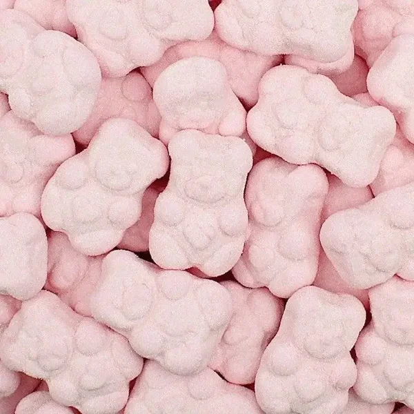 Ourson 🧸 (X5)
