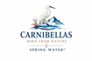 CARNIBELLAS LUNA LLC