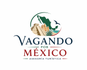 Vagando en mexico
