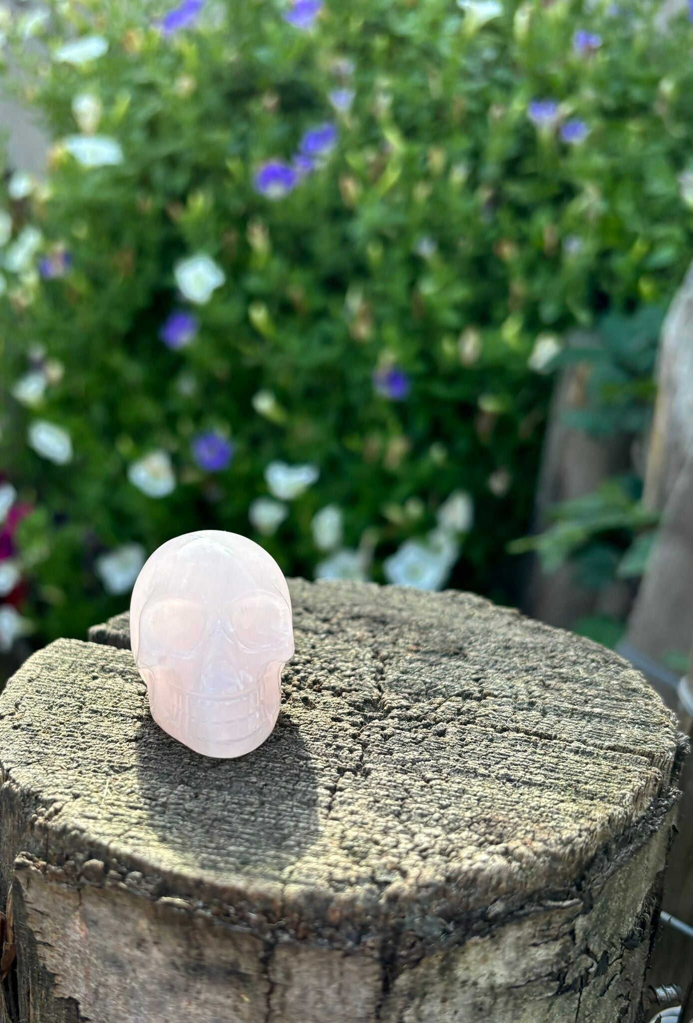 Kleine Edelsteen Schedel - Rozenkwarts - 40x30x28mm