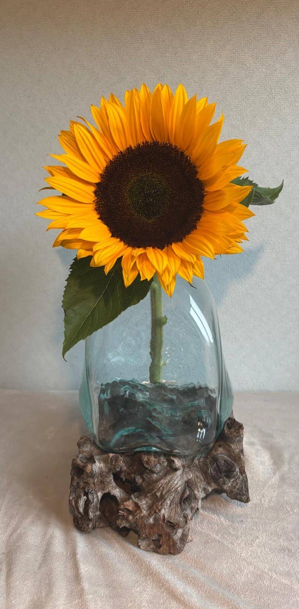Grote Gesmolten Glazen Vaas - Terrarium Pot op Hout