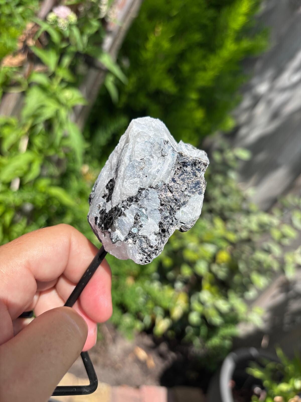 Mineraalspecimens op Metalen Standaard – Regenboog Maansteen