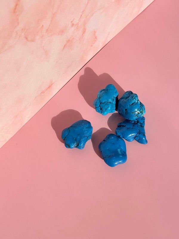 Blauwe Howliet (grote)