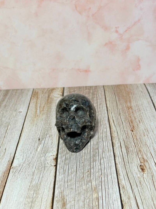 Yooperliet skull