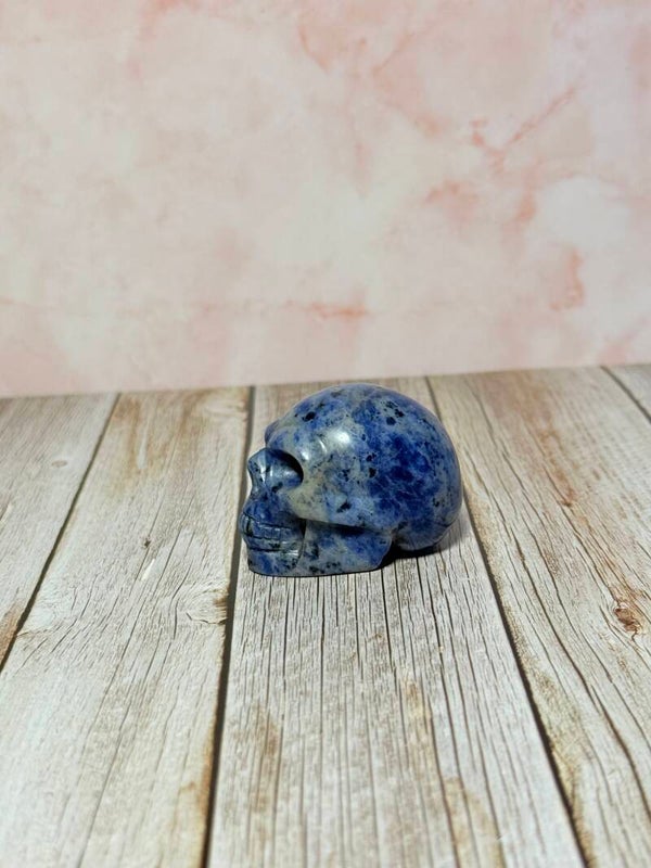 Sodaliet skull