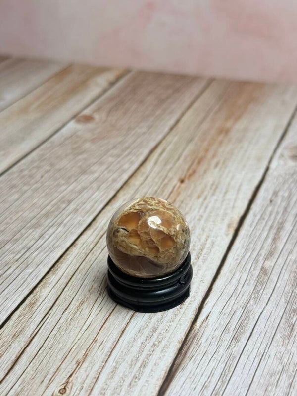 Septarie bolletje